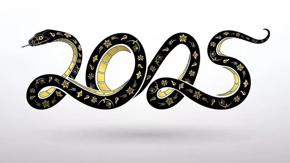 Год Змеи 2025
